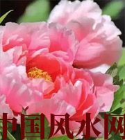 河北预示你财运上升，姻缘可成的梦境，快来看看吧！